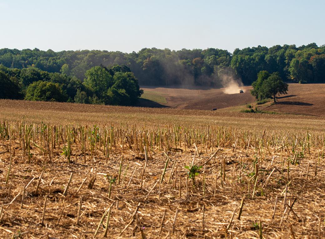 Le travail agricole perturbé par la sécheresse et les fortes chaleurs en France. Fotolia